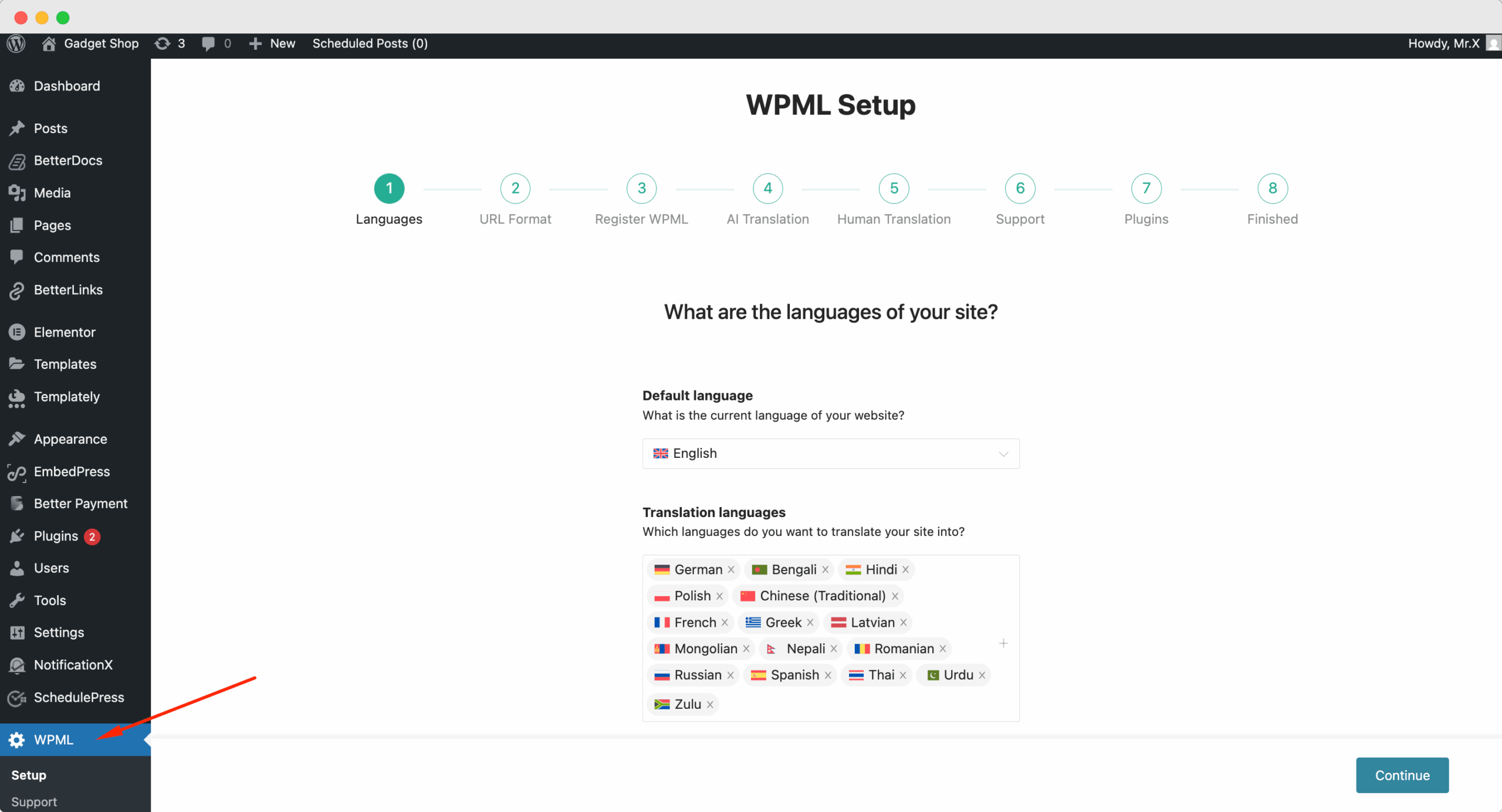 WPML Setup in WordPress